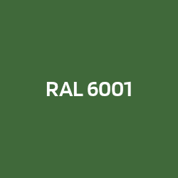 RAL 6001 Smaragdgroen